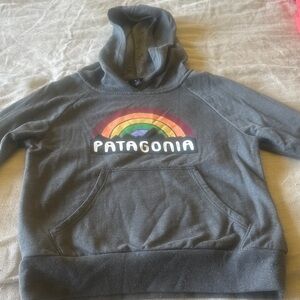Patagonia Charcoal Hoodie with Multicolor Logo